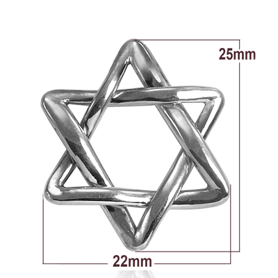 14k Gold white gold Jewish Star of David Pendant