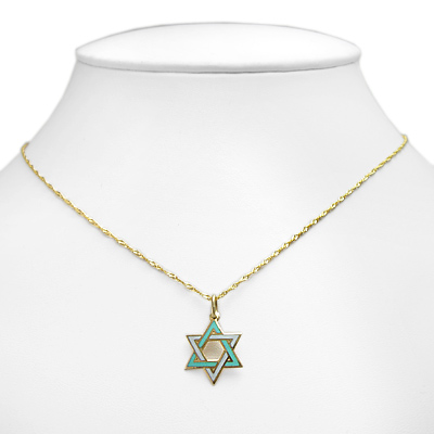 14k Star of David Enamel Pendant neckless