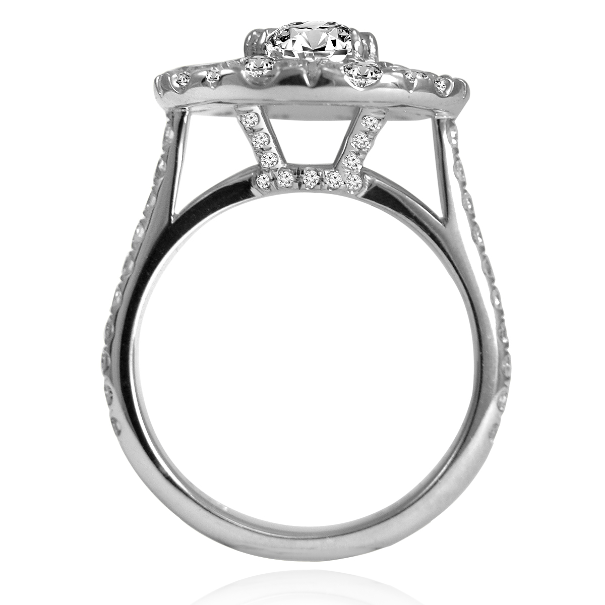 Diamond Engagement Ring in 14k White Gold