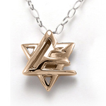 14k Rose Gold Jewish Star of David  Pendant