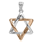 14k Rose and White Gold Star of David Pendant
