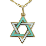 14k Star of David Enamel Pendant neckless